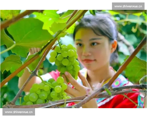 绿色直播助力体育赛事可持续发展 引领环保新风潮 - 副本