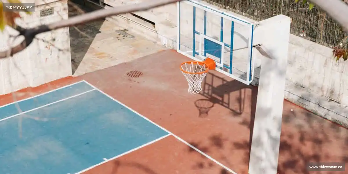 行业领先的理由